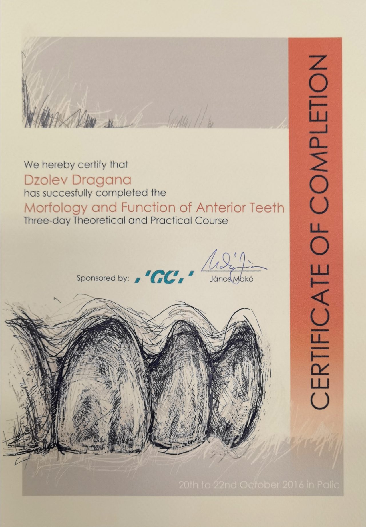 IMG_20240611_173720 IMG_20240611_173720